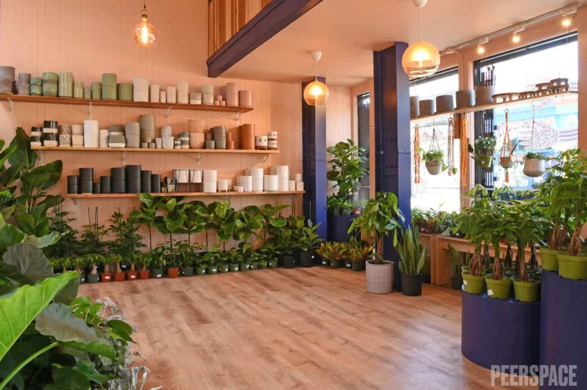 Event Space at Upper Haight