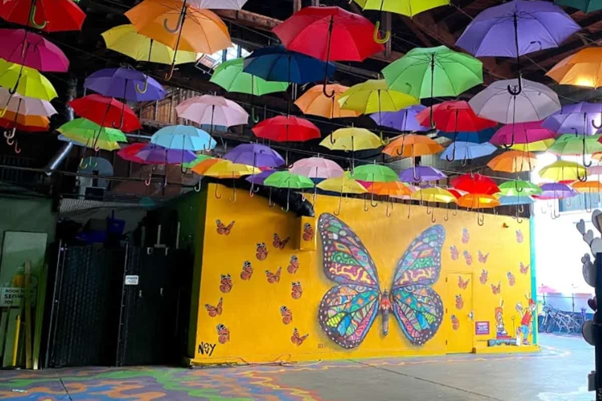 12-unique-twin-gender-reveal-ideas-to-celebrate-the-growing-family