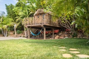 11 Adorable Moana Birthday Party Ideas (2025) | Peerspace