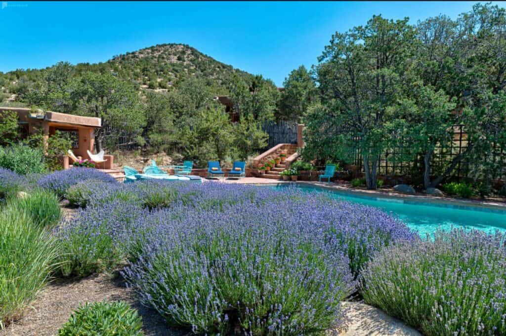 an oasis home and yard in santa fe