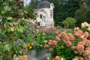 9 Dreamy Outdoor Photoshoot Locations Near Seattle (2025) | Peerspace