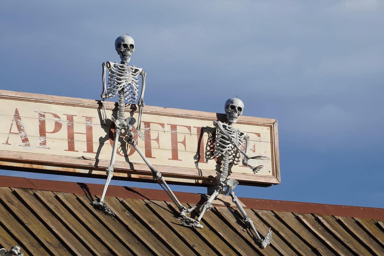 7 Hidden & Secret Experiences in San Francisco This October (2026) | Peerspace