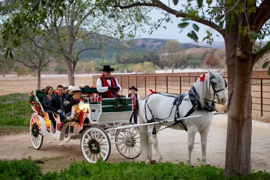 Disney Themed Wedding