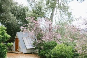 Planning A Cherry Blossom Wedding Theme: Tips For The Perfect Day | Peerspace