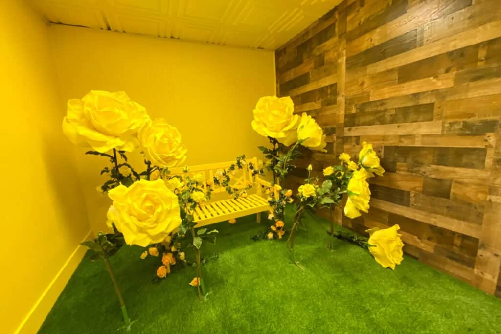 yellow garden photo studio in torrance