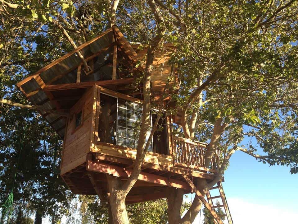 treehouse of your dreams san jose rental