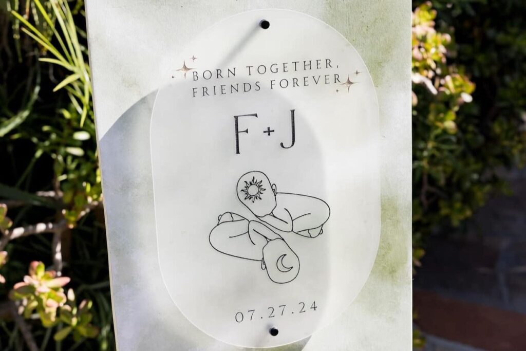 sign at a twin gender reveal party