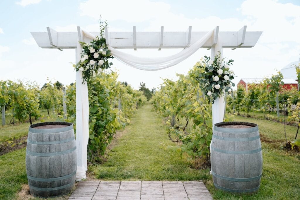 Vineyard wedding scene with wine barrels flanking a simple white wooden altar draped in white cloth and decorated with white roses and greenery