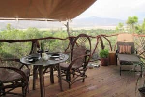 12 Creative Safari Birthday Party Ideas For The Animal Lover In Your Life | Peerspace