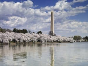 The 8 Best Maternity Photoshoot Ideas near Washington, D.C. | Peerspace