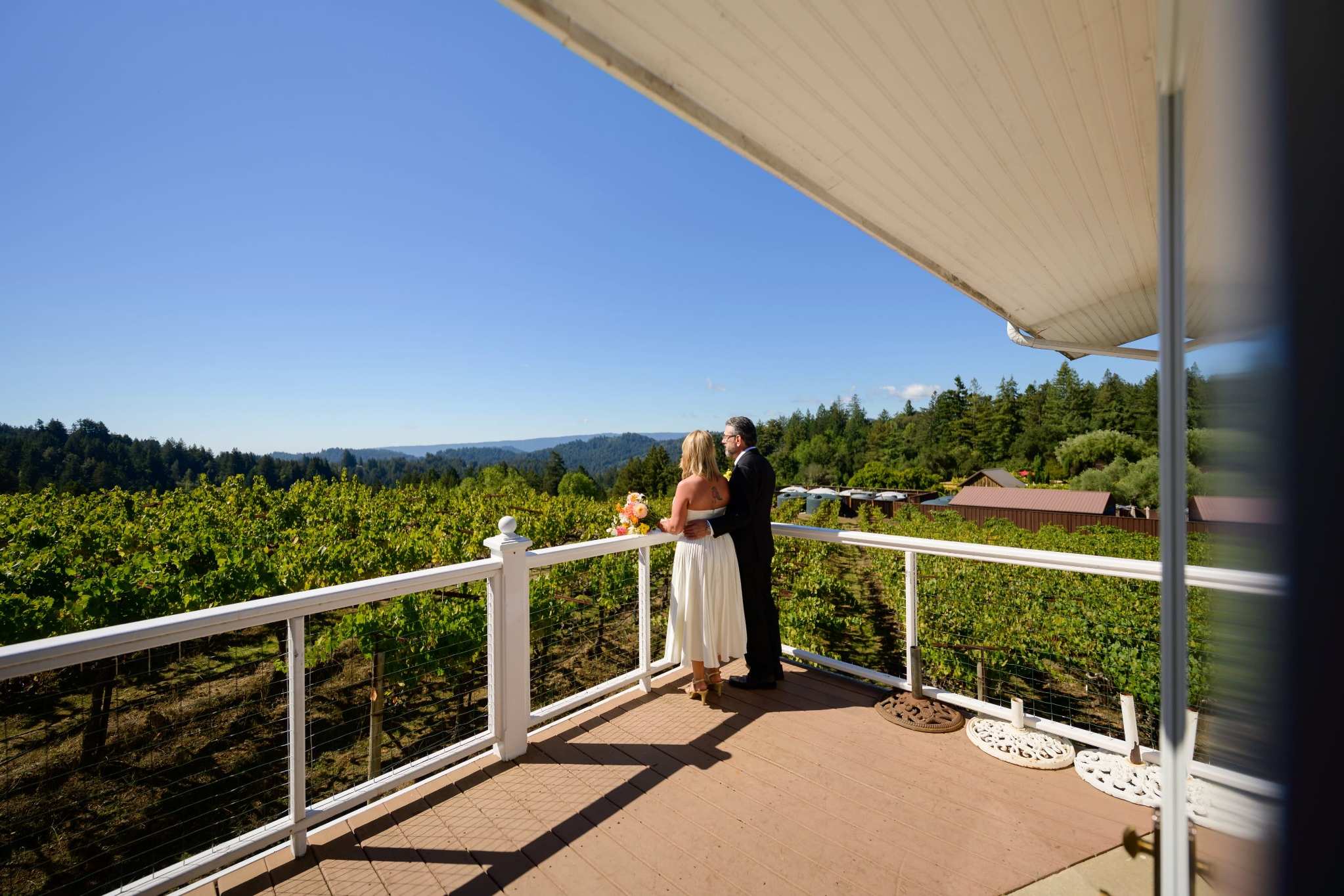 Bride and groom overlooking vineyard scenery near San Jose