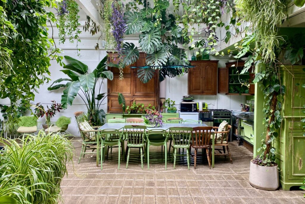 Plant Filled daylight studio