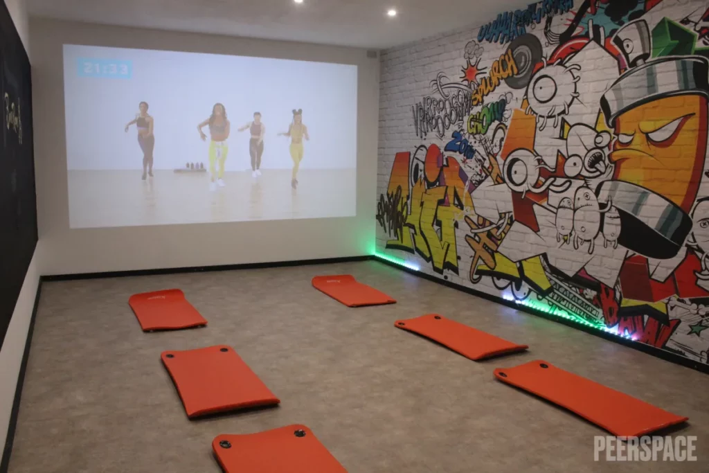 Spacious Fitness Room includes with Amazing Mural and a Projector