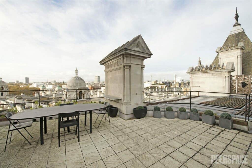Whitehall Court penthouse rooftop with city views