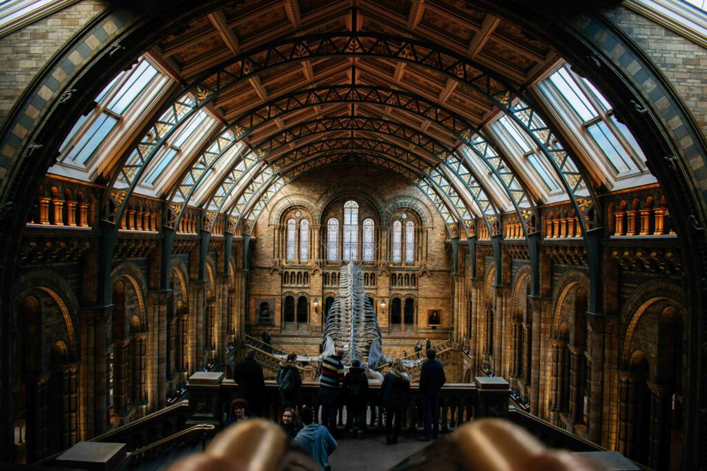 A top view of the main hall in the London National History Museum