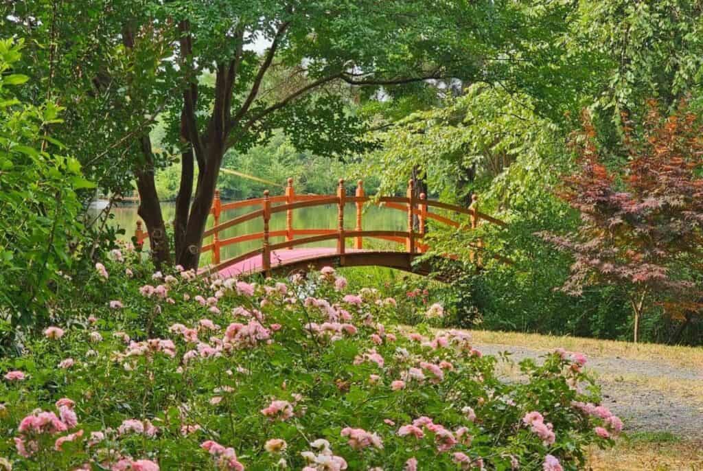 small walking bridge over a lake in a garden