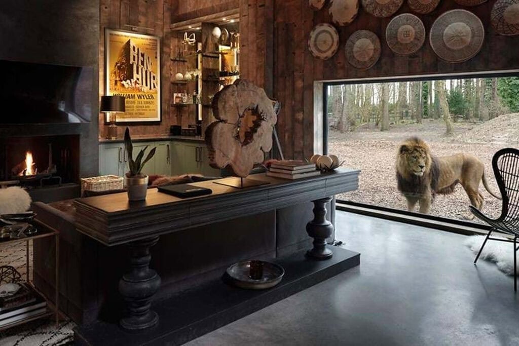 Lodge room with a viewing window onto a lion habitat at Port Lympne in Kent