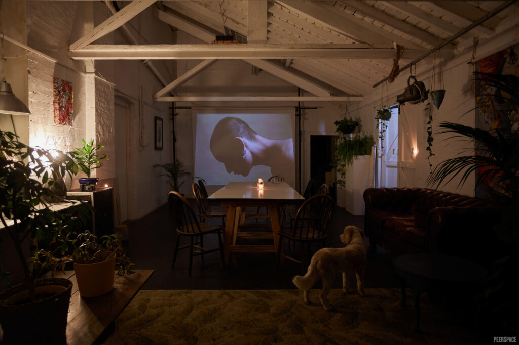 Dimly-lit private screening room with projector