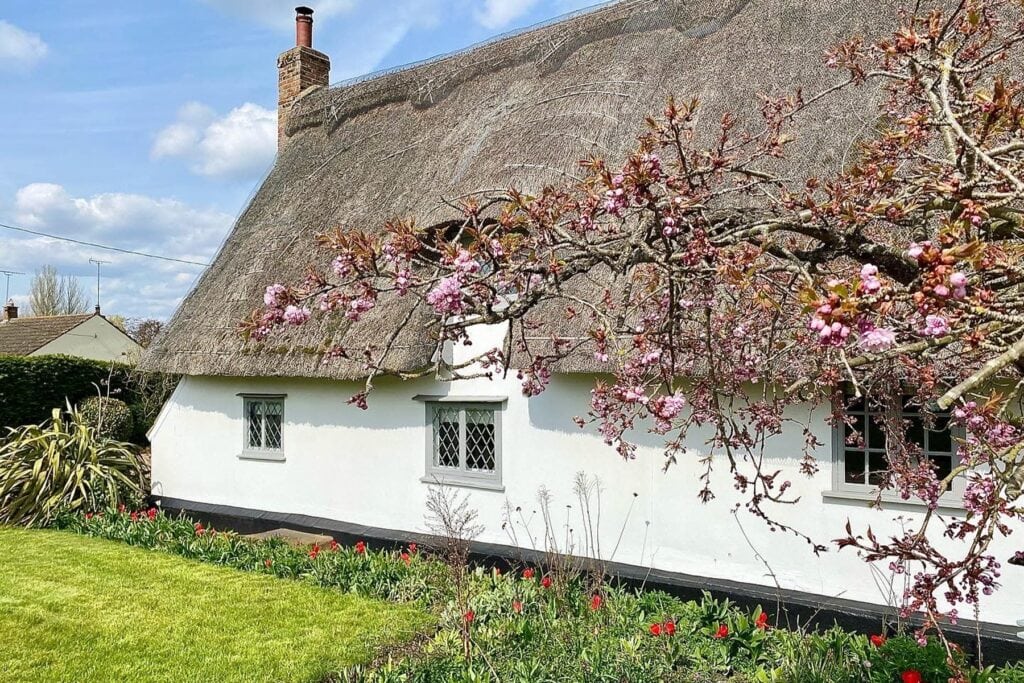 How & Where to Find a Thatched Cottage Airbnb | Peerspace
